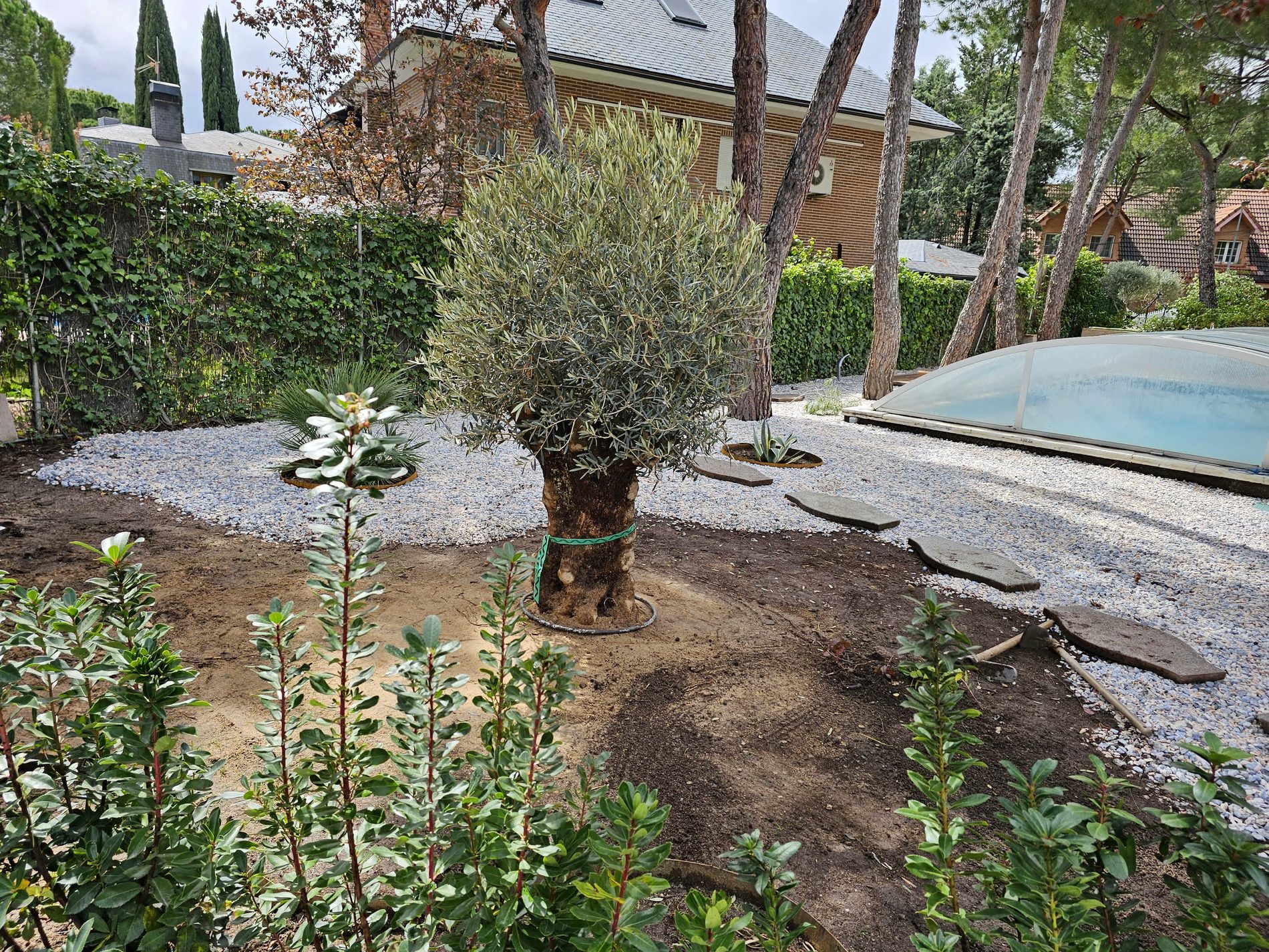 Paisajismo con piedra y vegetación