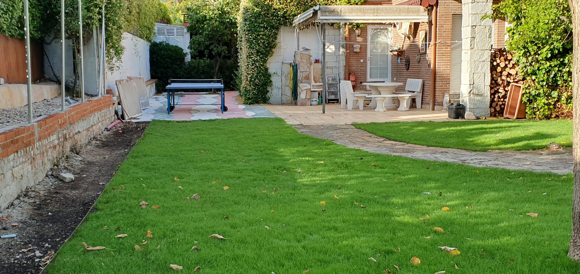 Jardín residencial verde