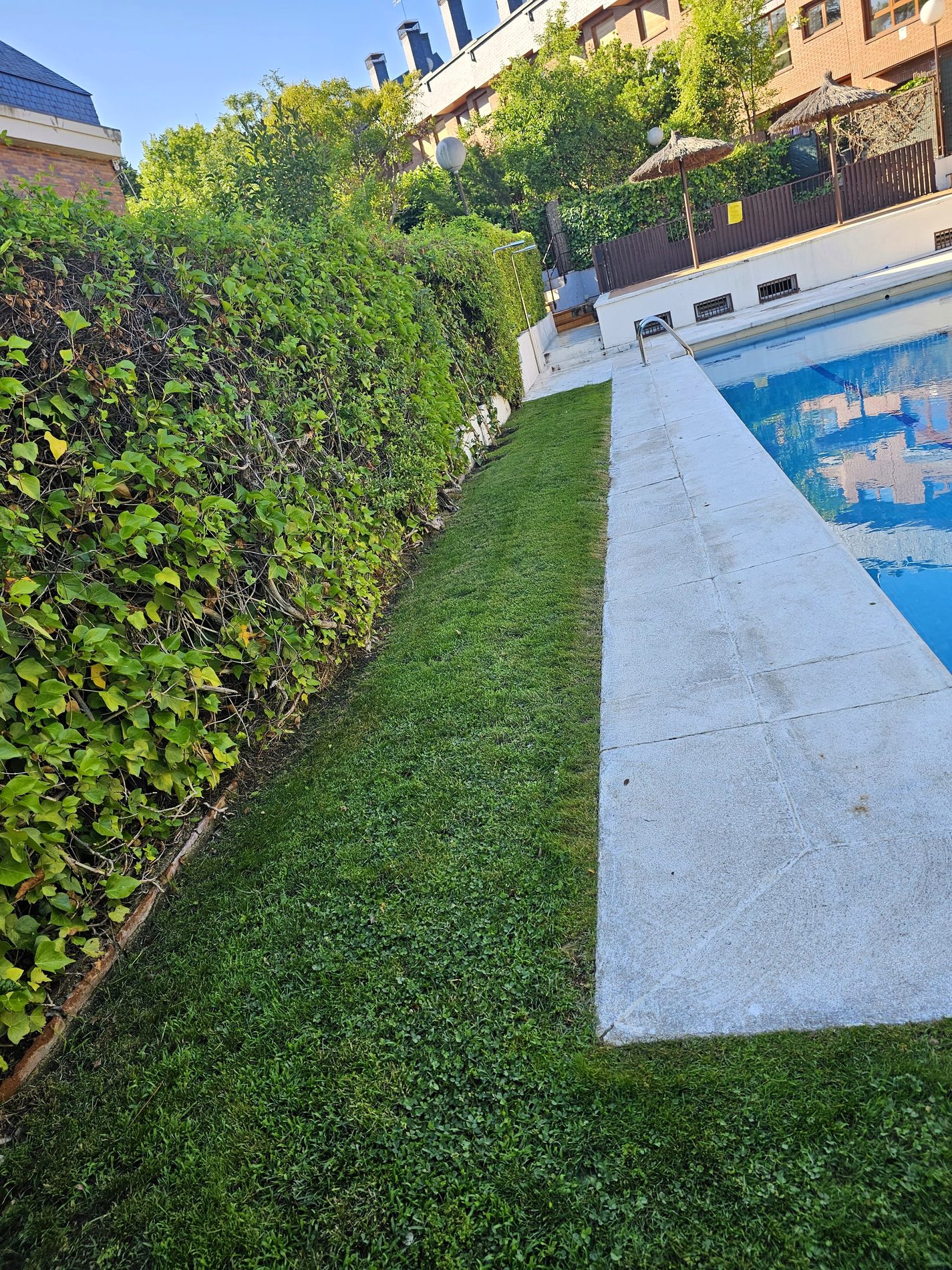 Proyecto Jardinería Lebrek